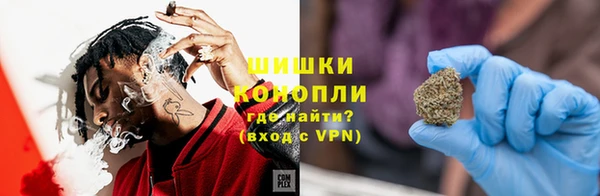 прущие грибы Гатчина