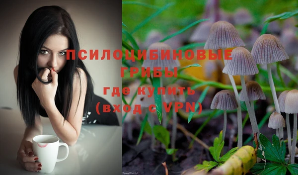 гашиш Осташков